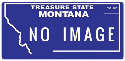 State of montana department of justice gambling control division rules